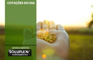 Cotações do Dia - Pn7 2024 - Soluflex