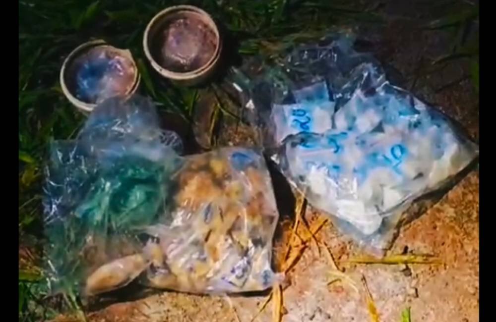 VÍDEO | GCM de Jataí desarticula esconderijo de drogas avaliado em R$ 65 mil