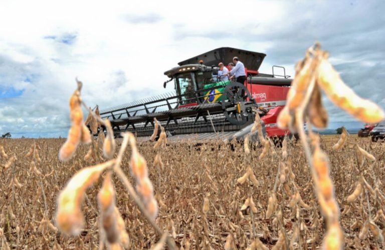 Goiás registra superávit de US$ 6,6 bilhões na balança comercial de 2024