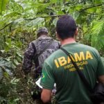 Ibama publica edital de concurso com 460 vagas e salário de até R$ 9,9 mil; veja como participar