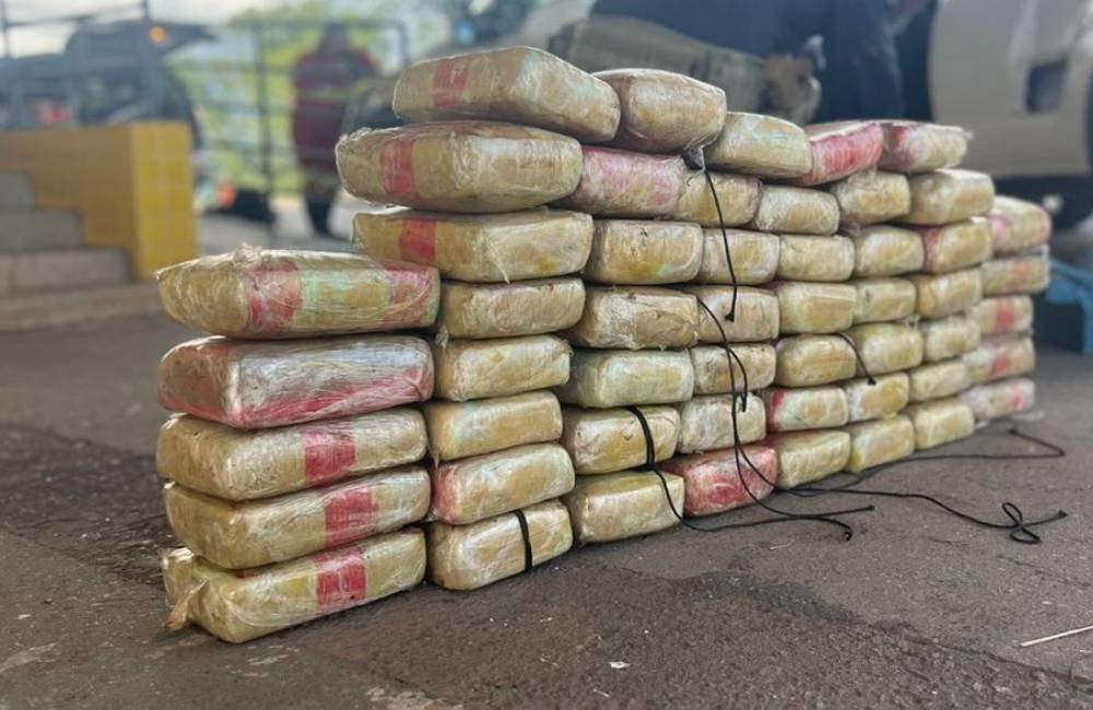 VÍDEO | PRF Apreende 56 kg de Skunk em Caminhão-Cegonha na BR-153