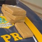 PRF prende dois passageiros com drogas em ônibus na BR-060