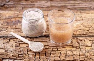 Psyllium para emagrecer entenda como ele funciona e aprenda a tomar