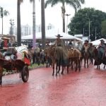 Encontro de Comitivas de Muladeiros reúne criadores em Goiânia a partir de março