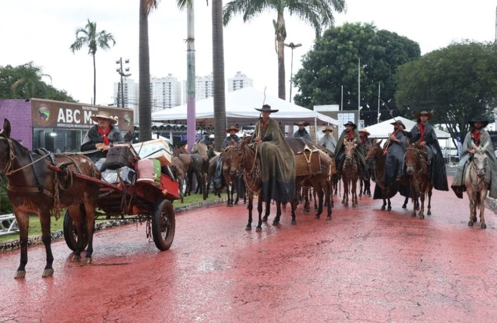 Encontro de Comitivas de Muladeiros reúne criadores em Goiânia a partir de março