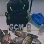 GCMJ prende dois homens por pesca ilegal no Lago JK