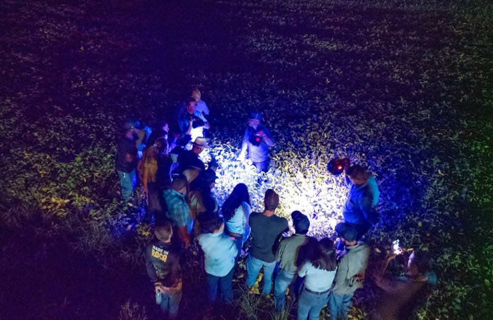 Noite de Campo Evolution apresenta inovações tecnológicas para o agronegócio em Jataí