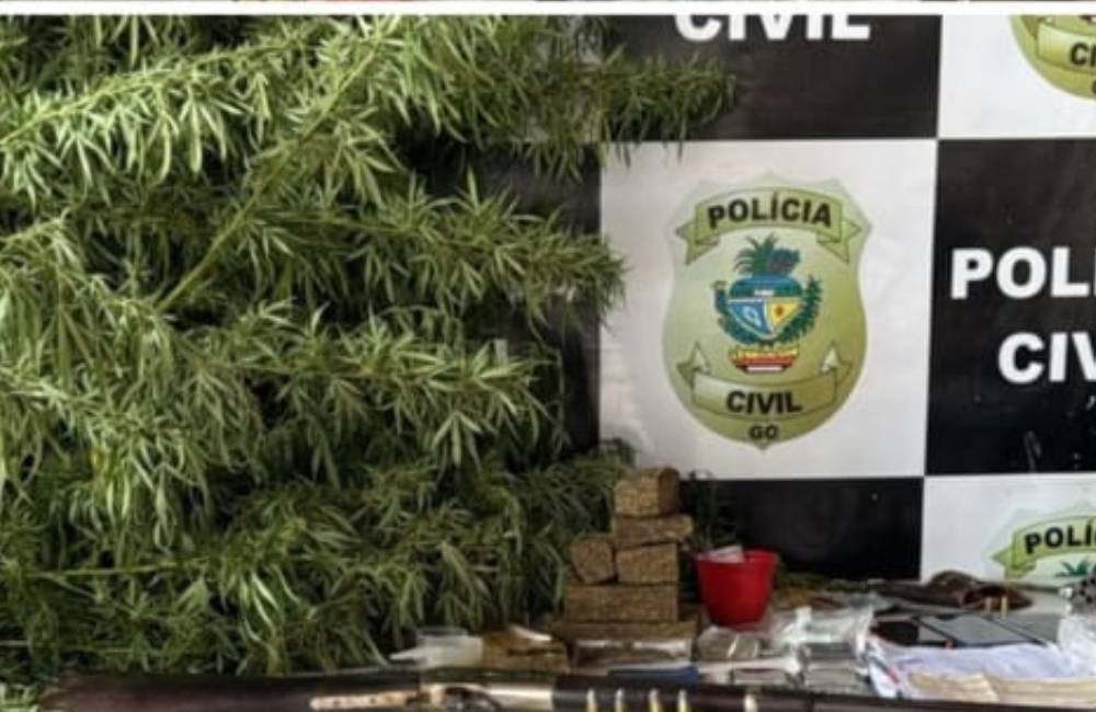 _Polícia Civil desarticula quadrilha de tráfico