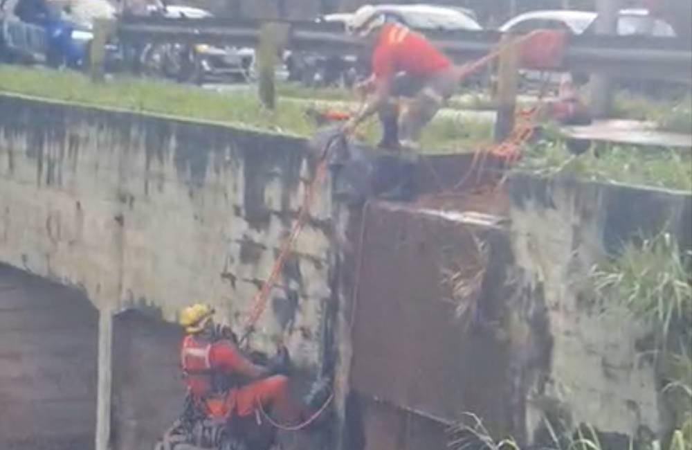 VÍDEO | Bombeiros Resgatam Vítima Ilhada no Córrego Botafogo