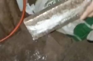 VÍDEO CPE prende homem por tráfico de drogas