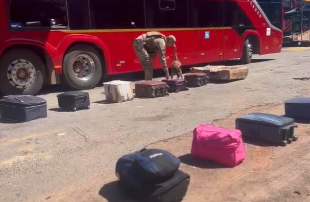 VÍDEO | PRF apreende drogas e reforça fiscalização antes do Carnaval