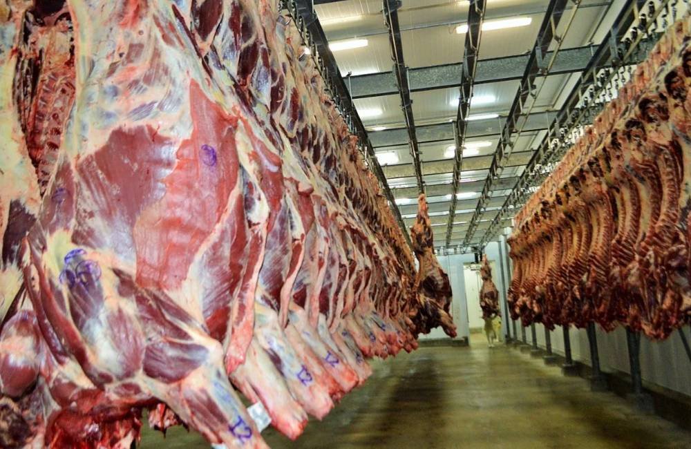 Brasil e Vietnã firmam acordo que pode impulsionar exportação de carne bovina