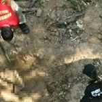 Corpos são encontrados em fazenda de Goiás; vítimas podem ser da mesma família