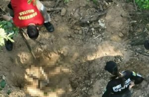 Corpos são encontrados em fazenda de Goiás; vítimas podem ser da mesma família