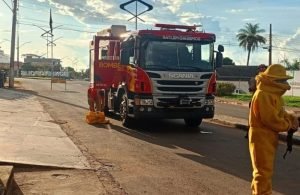 Idoso morre após ataque de abelhas em Goiás