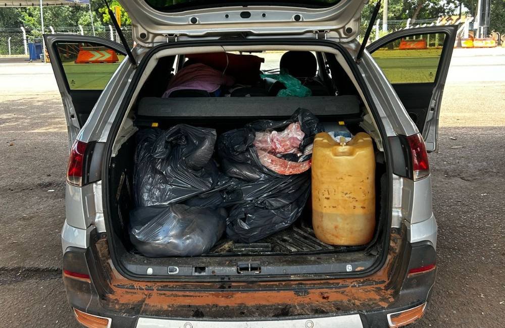PRF apreende carga ilegal de animais silvestres em Goiás