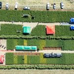 Plantar Dia de Campo em Jataí com inovações para a próxima safra