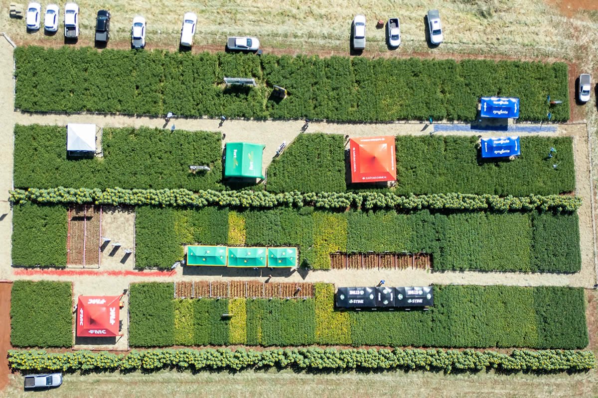 Plantar celebra 21ª edição do Dia de Campo em Jataí com inovações para a próxima safra