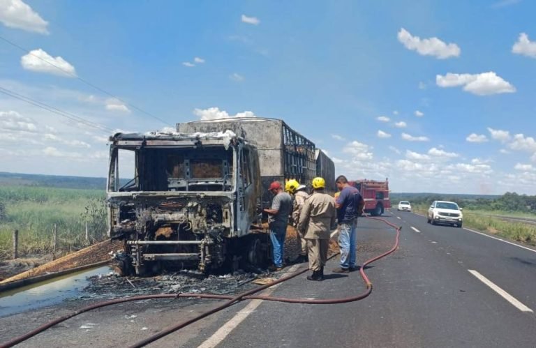 VÍDEO Incêndio destrói veículo de carga na BR-060, em Santo Antônio da Barra