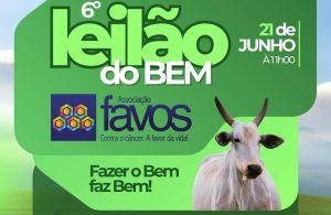 6º Leilão do Bem da Associação Favos