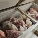 GO Abatedouro é interditado após ser flagrado com mais de uma tonelada de carne imprópria para consumo
