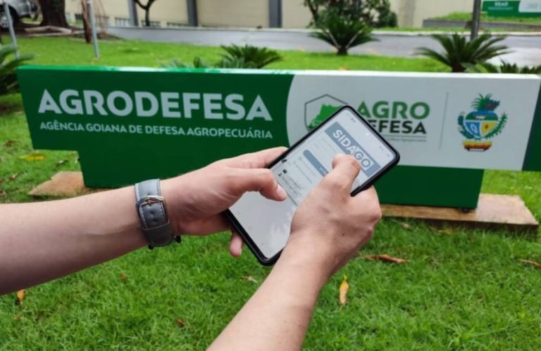 Goiás inicia novo período de declaração de rebanho e vacinação contra raiva no campo