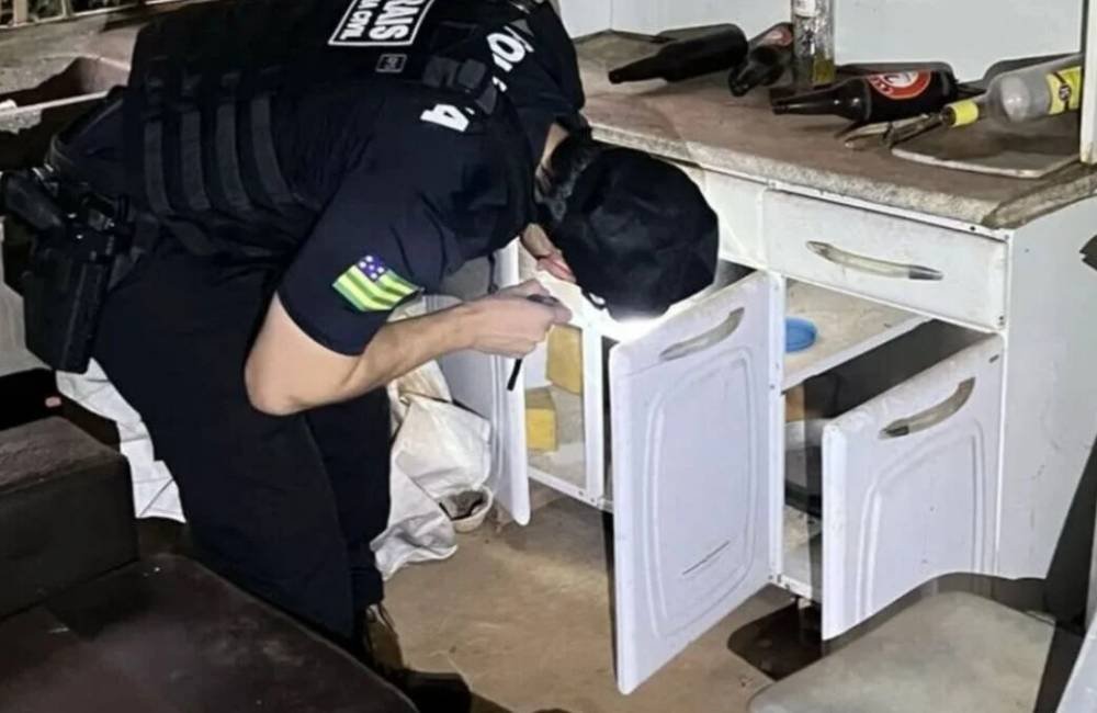 Polícia deflagra operação em MT após furto de novilhas em fazenda goiana