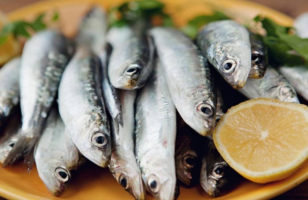 Pesquisa revela variação de até 117% no preço de pescados em Jataí às vésperas da Semana Santa