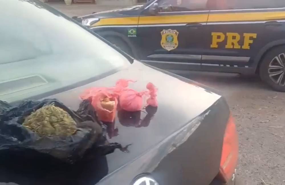 VÍDEO | PRF flagra homem com drogas escondidas durante abordagem na BR-153 em Rialma