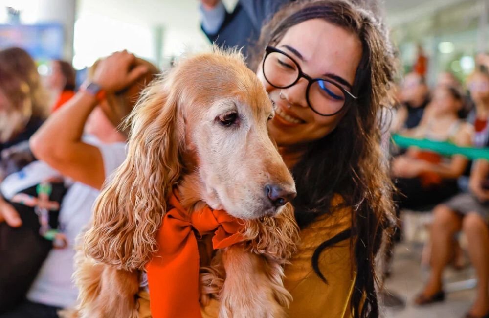 Veja o que se sabe sobre o novo RG animal para cães e gatos, chamado SinPatinhas