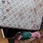 Homem em surto psicótico invade residência em Jataí e mobiliza PM e Bombeiros