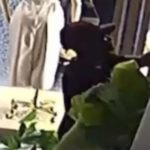 Loja de roupas é furtada durante a madrugada no Centro de Jataí