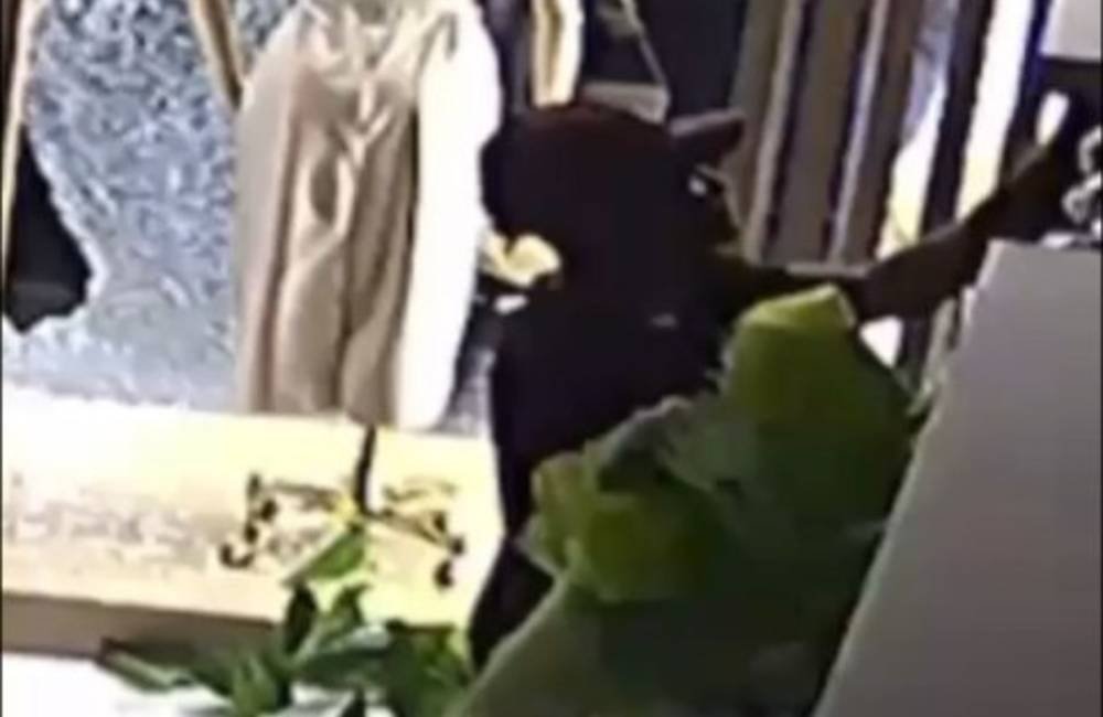 VÍDEO | Loja de roupas é furtada durante a madrugada no Centro de Jataí