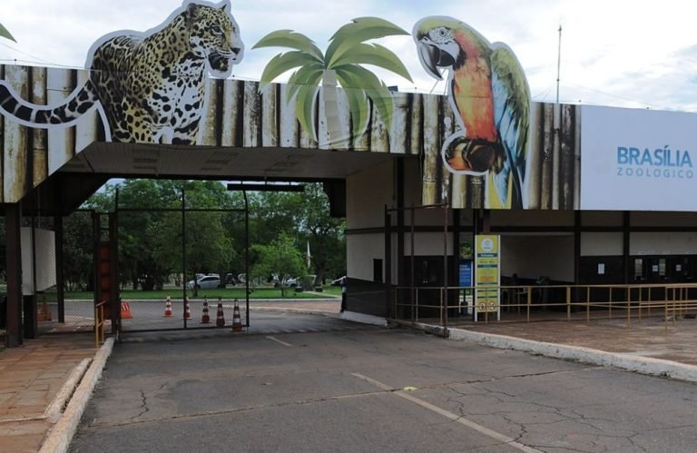 Zoológico de Brasília fecha por suspeita de gripe aviária