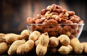 Amendoim se destaca em Jataí e promete nova era para produtores rurais