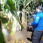 Atirador mata companheiro de caça e alega a testemunha que o confundiu com animal em Mineiros, diz delegado