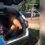 Briga entre vizinhos por causa de pit bull termina com rapaz morto em Iporá