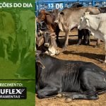 Cotações do Dia - Pn7