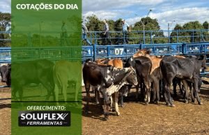 Cotações do Dia - Pn7 2024 - Soluflex