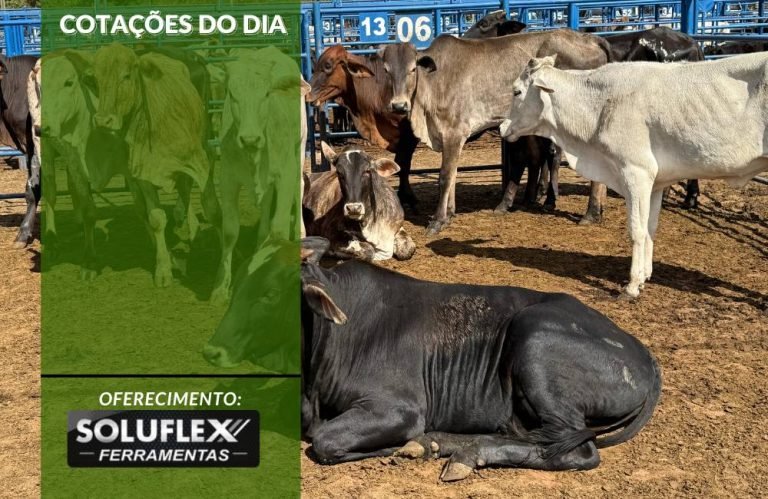 Cotações do Dia - Pn7
