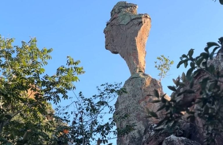 Estado amplia Parque Estadual de Paraúna e cria mais uma unidade de conservação