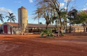 Falta de energia atinge zona rural de Jataí e gera prejuízos a produtores