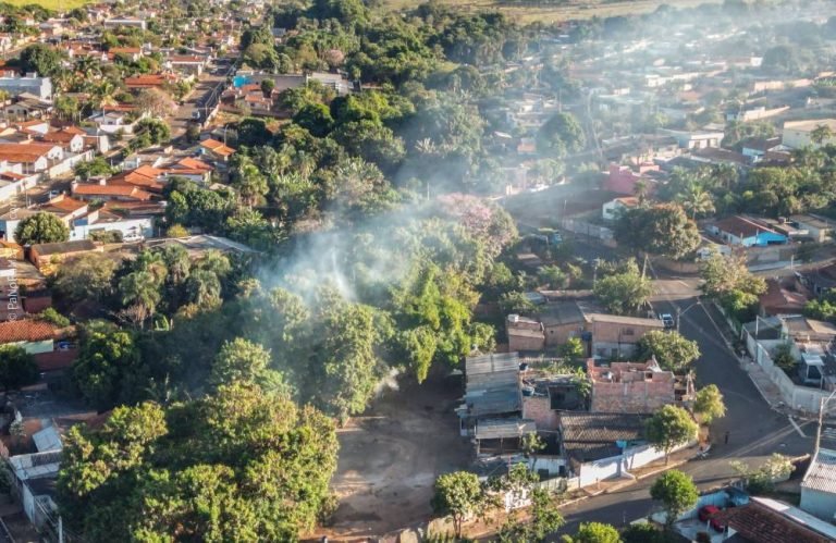 Flagrante do Portal Panorama revela queimada em fundo de quintal