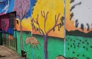 Projeto “O Cerrado em Cores” leva arte urbana ao centro de Jataí e valoriza a fauna e flora do bioma