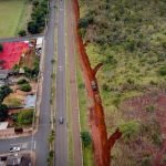 41º BI Mec realiza manutenção de aceiros para prevenir queimadas em Jataí