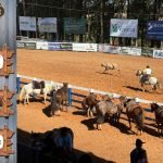 Confira a previsão do tempo para o ultimo dia de Campeira