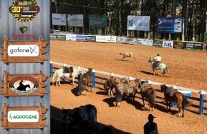 Confira a previsão do tempo para o ultimo dia de Campeira