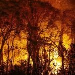 Governo de Goiás decreta suspensão do uso do fogo em vegetação por 120 dias