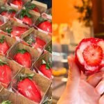 Morango do Amor a nova febre que virou oportunidade de renda extra