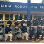 PRF capacita forças de segurança em Jataí-GO no combate a fraudes veiculares